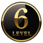 level6